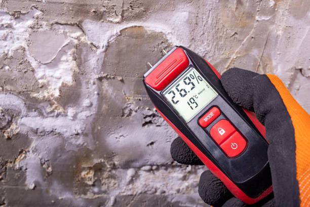 Best Attic Mold Remediation in Damascus, MD