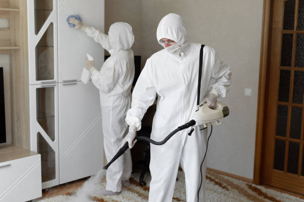Best White Mold Remediation in Damascus, MD