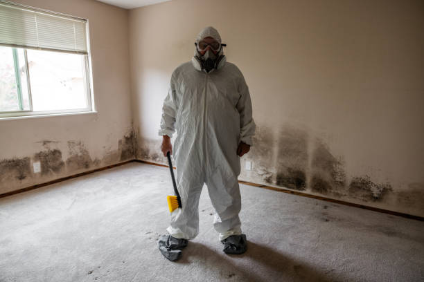 Best HVAC Mold Remediation in Damascus, MD